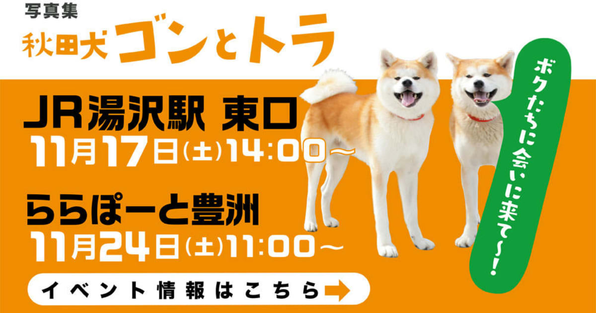 莉音も参加 秋田犬ゴントラもふもふイベント11 24豊洲 Fridayデジタル